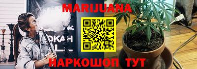 сатива Рыбинск
