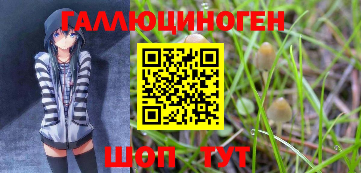 купить наркотик  Вход с VPN  Ртищево  Галлюциногенные грибы Magic Shrooms 